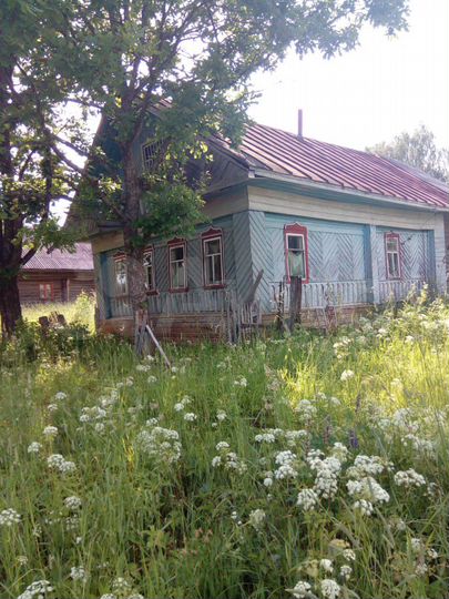 Дом 80 м² на участке 43 сот.