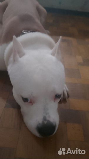 Ищем для вязки