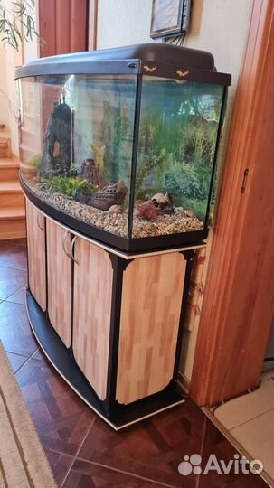 Украшения для аквариума