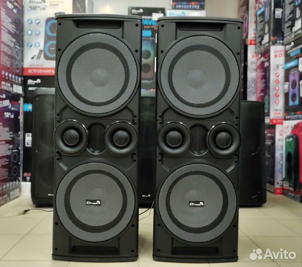 Акустическая система Eltronic 20-06