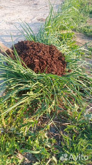 Чернозем в мешках