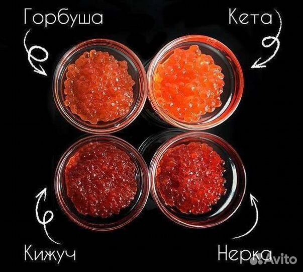 Красная икра