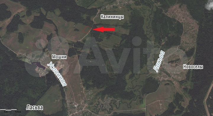 Участок 10,3 сот. (СНТ, ДНП)