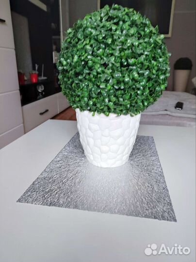 Комнатные растения шар с горшком для интерьера