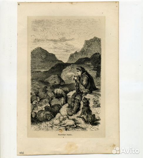 Старинная гравюра 1878 г. Шотландия собака антик