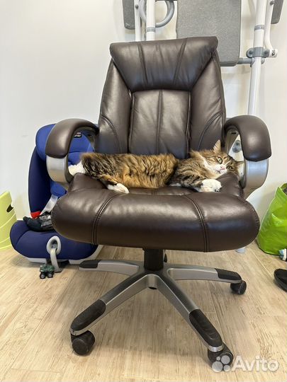 Офисное кресло руководителя