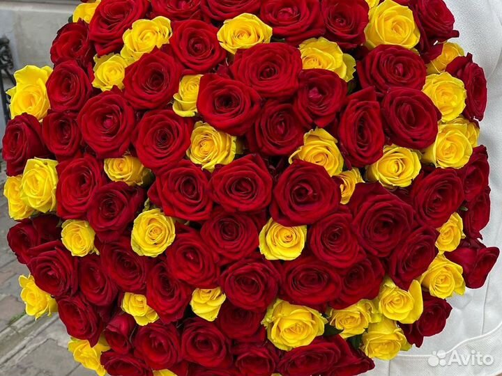 Розы цветы букеты Доставка 101 51 21 15