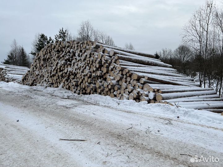 Продам лес кругляк пиловочник хвойный