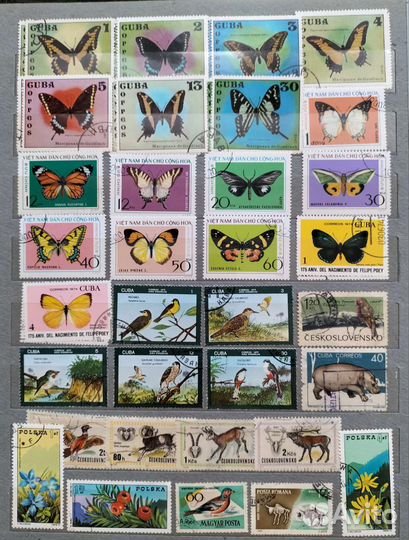 Марки Флора и фауна