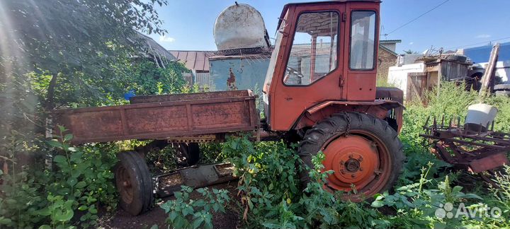 Трактор ХТЗ Т-16МГ, 1999