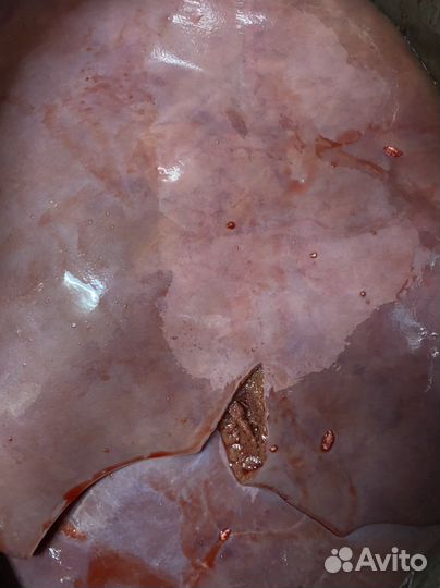 Печень говяжья