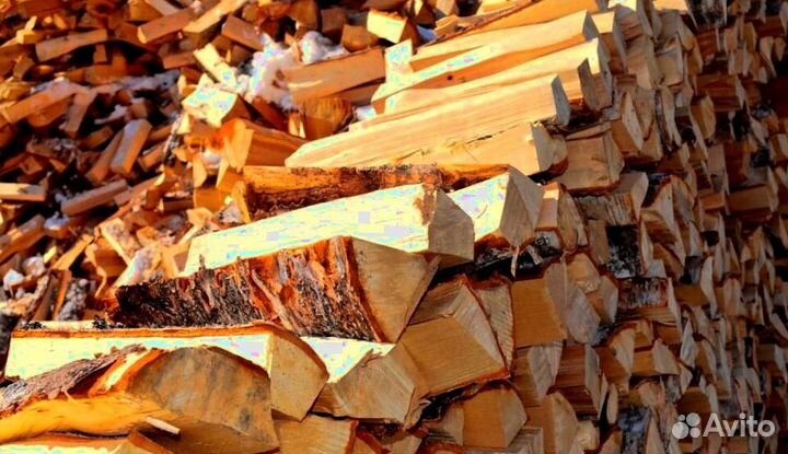 Дрова со Всеволожска