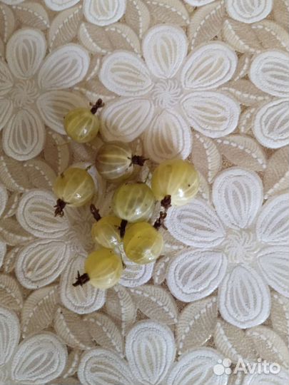 Крыжовник ягоды