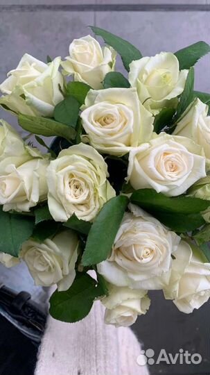 Цветы розы букет