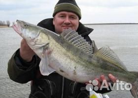 Свежая речная рыба