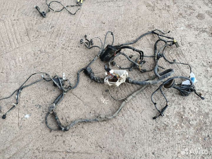 Жгут проводов/проводка подкапотная Nissan Tiida
