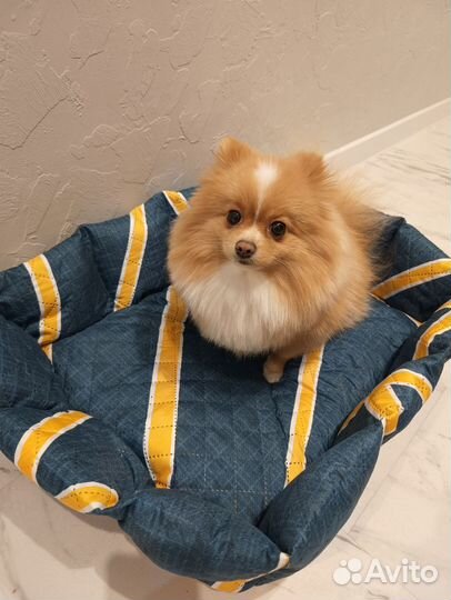 Лежанка для животных