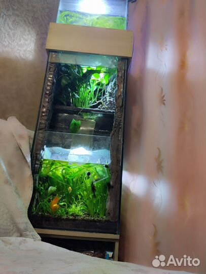 Аквариум с тумбой
