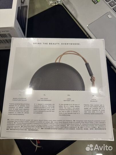 Bang & Olufsen Beosound A1 2nd gen