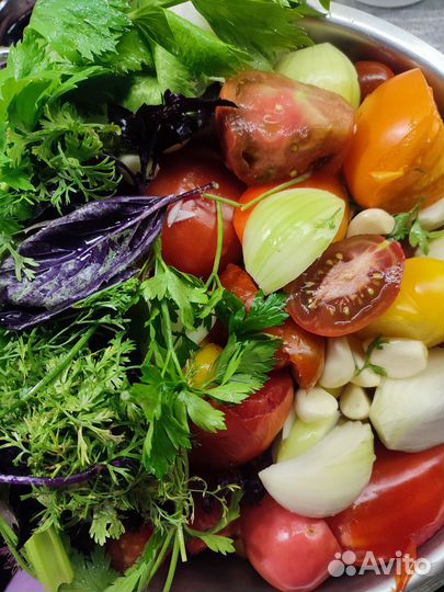 Семена коллекционных сортов томатов