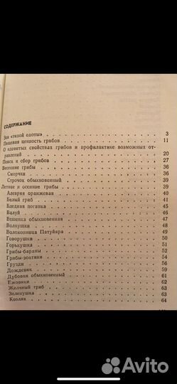 Смирнов А.И. По грибы