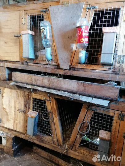 Клетка для кролика