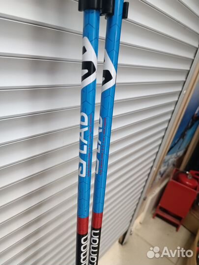 Лыжные палки Salomon s/lab
