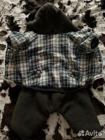 Одежда для собак