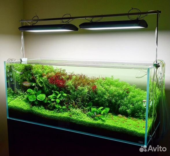 Чистка аквариумов