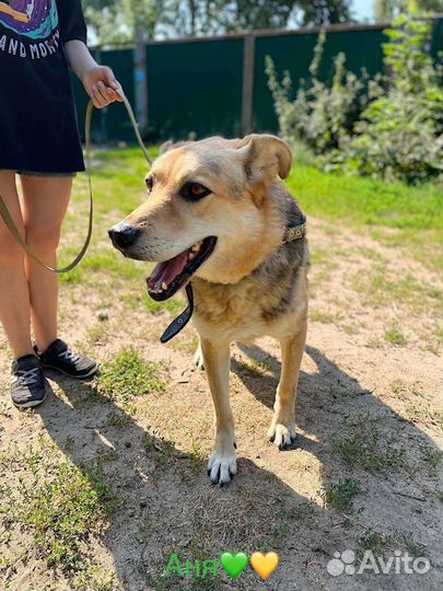 Марта ищет дом