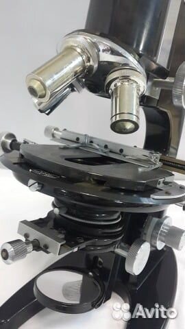 Микроскоп Сarl Zeiss jena №255999 аренда