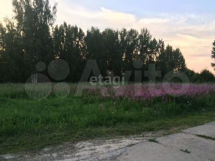 Участок 24,9 сот. (ИЖС)