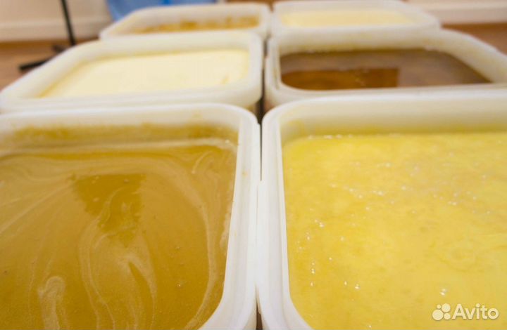 Мед 2023 натуральный алтайский опт