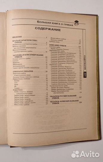 Подробный справочник о грибах