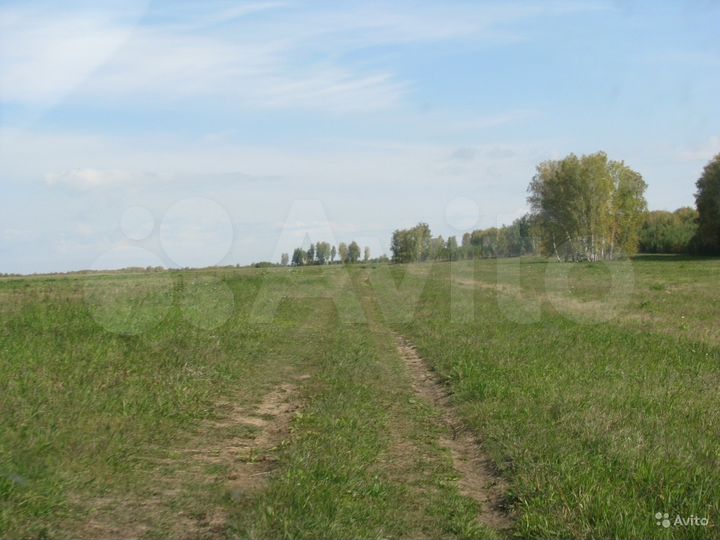 Участок 1,85 га (СНТ, ДНП)