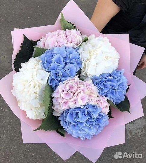 Живые цветы букеты гортензия, букет, доставка