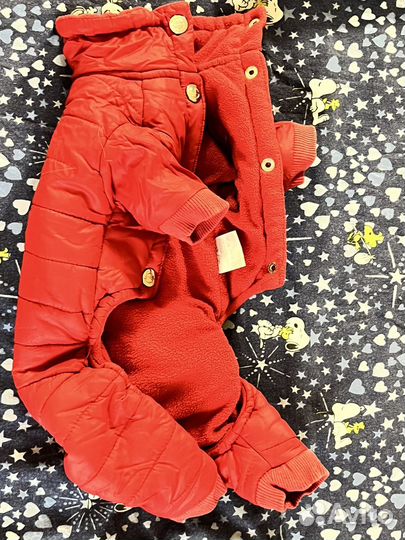 Зимний комбинезон для маленькой собаки