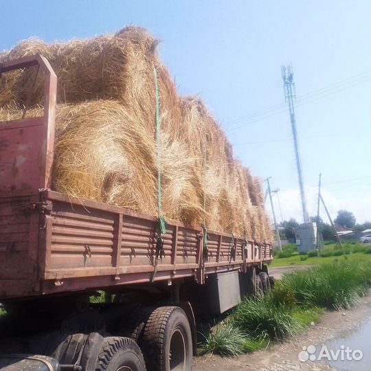 Сено в рулонах