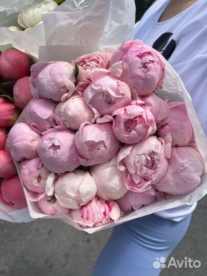 Пионы красивые доставка на день рождения маме