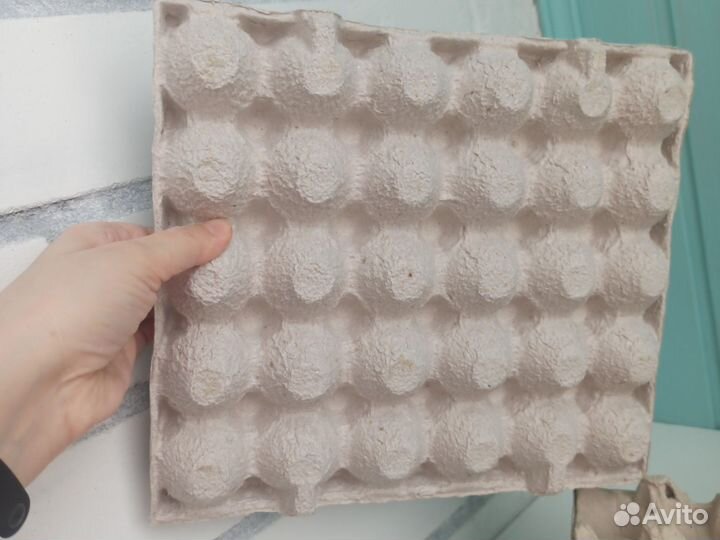 Ячейки для куриных яиц лотки