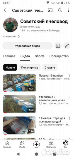 Пчеломатки плодные Карника