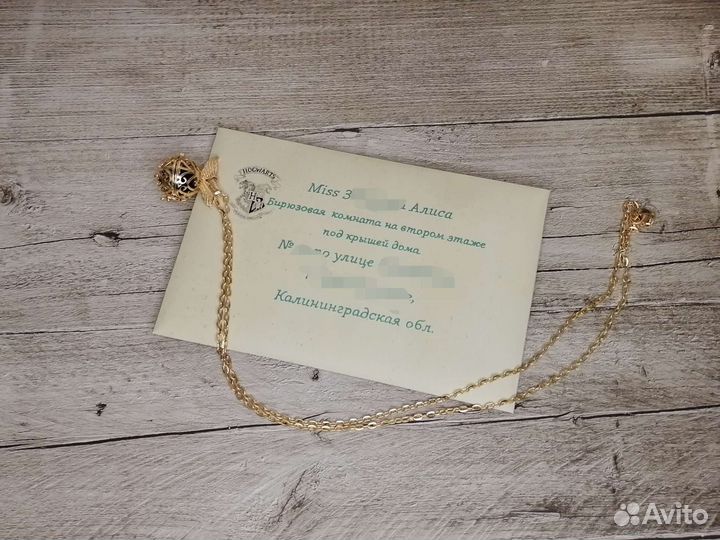 Письмо из Хогвартса +кулон снитч