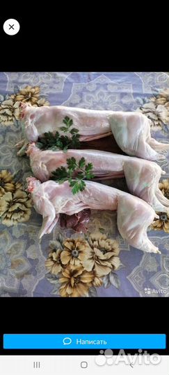 Мясо кролика