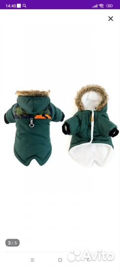 Одежда для собак