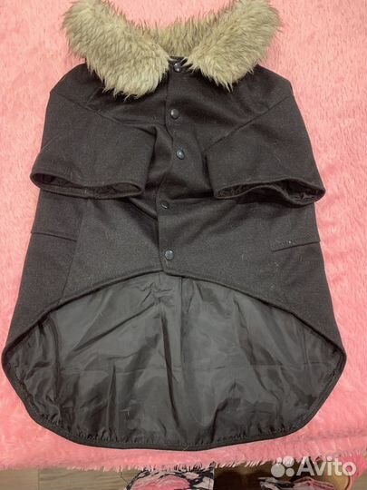 Одежда для средних собак