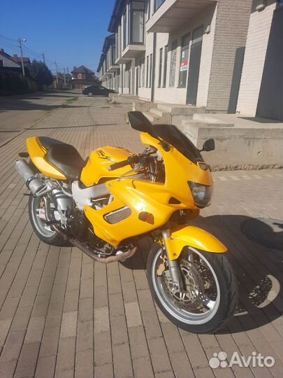 Honda vtr 1000f
