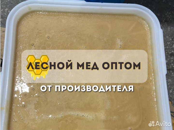 Лесной свежий мёд опт