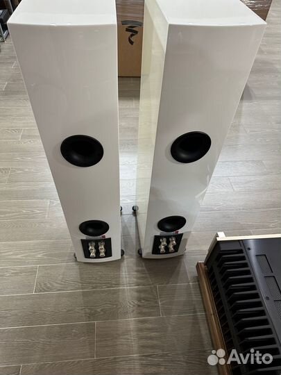 Напольная акустика Dali Rubicon 6 White