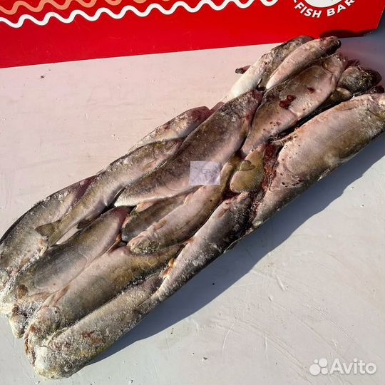 Голец неразделанный с головой