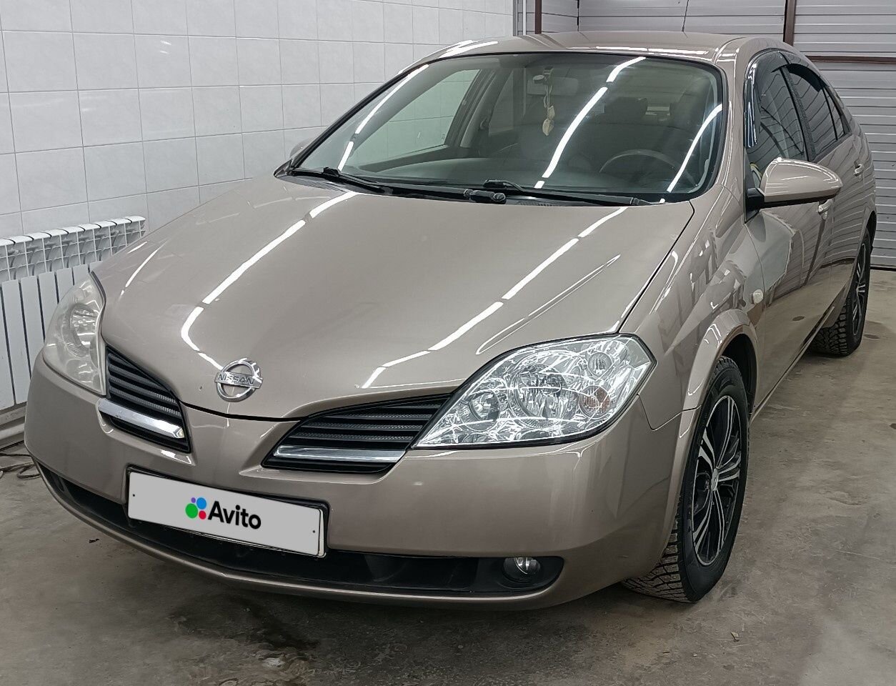 Nissan Primera: фото владельца